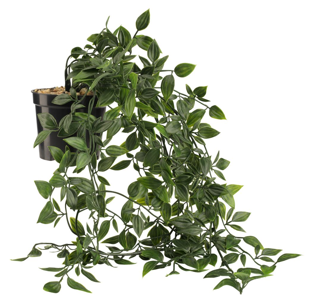 Artificial plant OLIVER W20xL14xH70cm JYSK