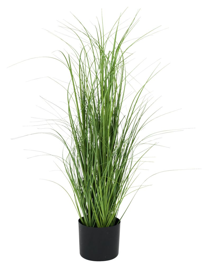Kunstpflanze MARKUSFLUE H90cm Gras | JYSK
