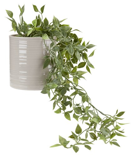Kunstig plante OLIVER B20xL14xH70cm