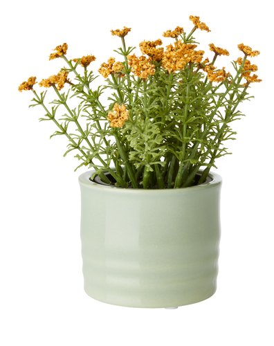 Vaso per piante TIM Ø9xH7 cm assortito
