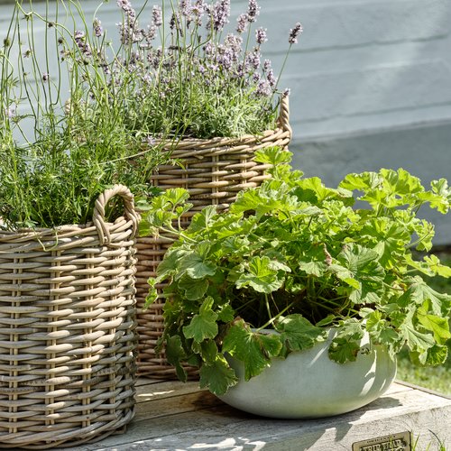 Planter basket SANSEBIE D50/40 kubu natural 2pcs/set JYSK