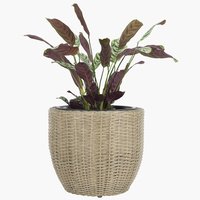 Vaso jardim SVARTBAK Ø42xA36 natural