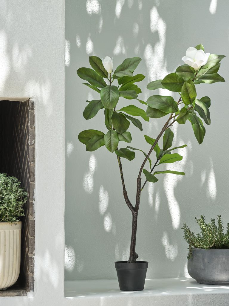 Planta Artificial Magnolia SPINDEL A120cm