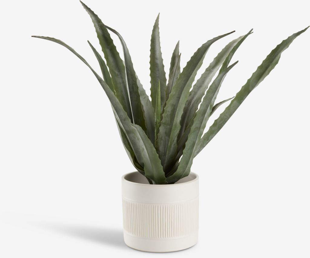 Kunstpflanze CELIUS H65cm Aloe Vera | JYSK