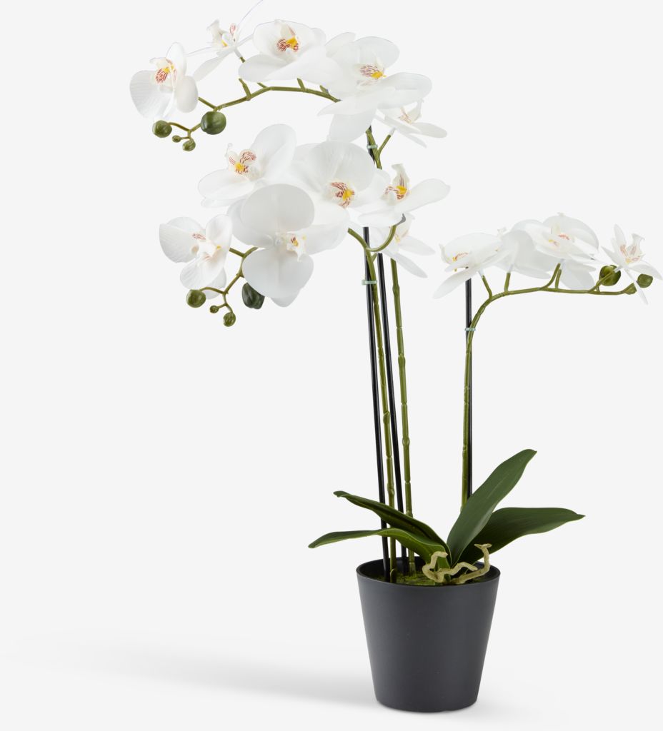 PIANTE IN VASO artificiali piccole piante artificiali piccolo bonsai