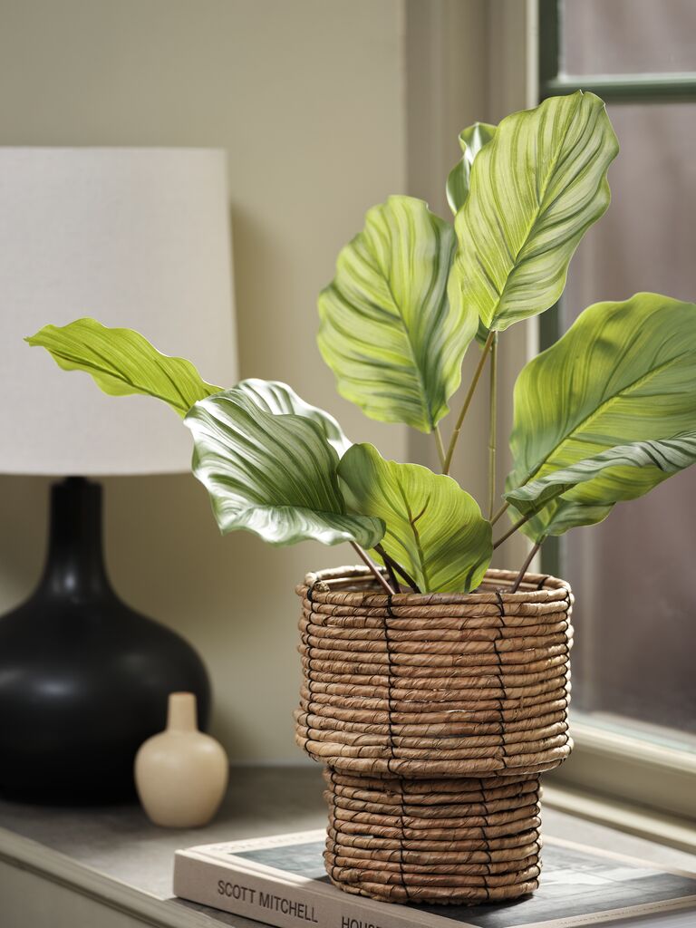 Maceta de mimbre redonda