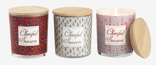 Scented candle ANHYDRIT D7xH8cm assorted