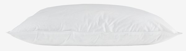 Oreiller duvet de canard musqué 60x63/70 KRONBORG BESSEGGEN