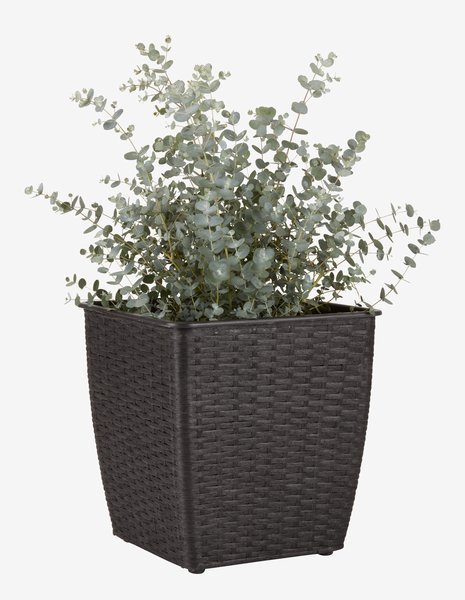 Planter basket ISLOM 31x31x32 assorted