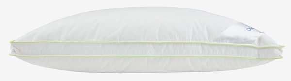 Entendaunen-Kissen 75x75x5 Otto Keller GREENFIRST