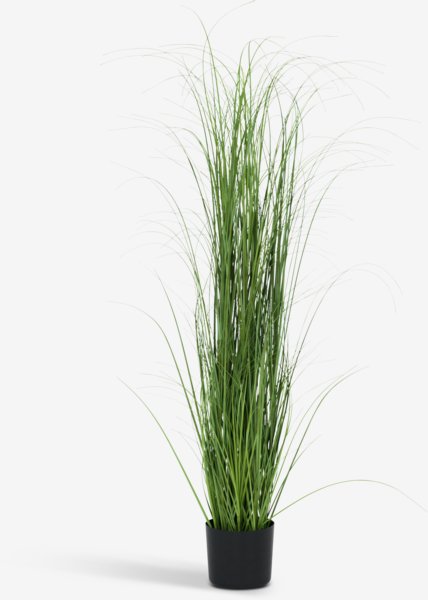Kunstpflanze MARKUSFLUE H150cm Gras grün