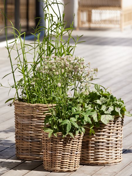 Košara za cvijeće SANSEBIE Ø40/33/25 kubu natur 3kom/s