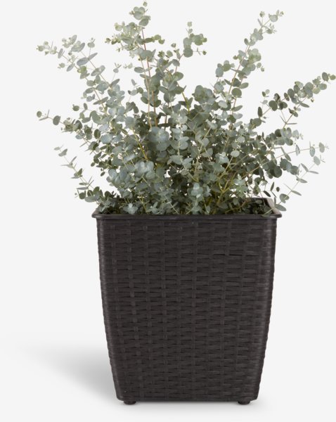 Planter basket ISLOM 31x31x32 assorted