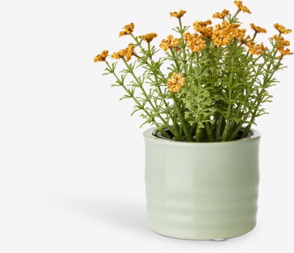 Vaso per piante TIM Ø9xH7 cm assortito