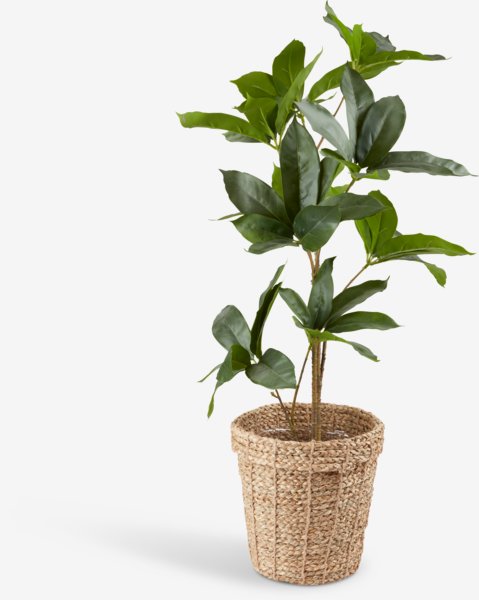 Saksı ERIK Ø25xY24cm doğal