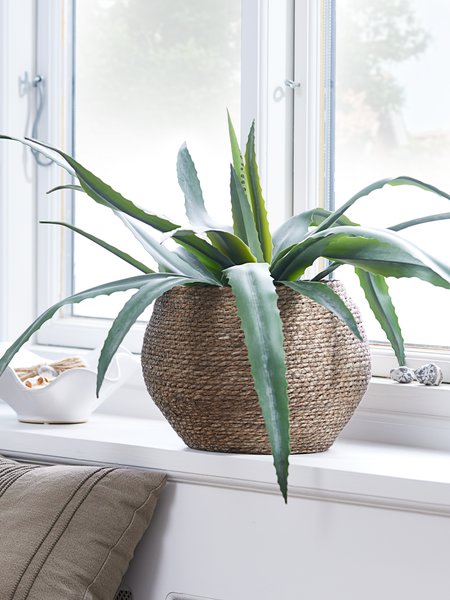 Vaso Sahara Basso In Plastica 29x34 Cm – Bianco – Con Inserti, Senza Fori, Per Terrazzo E Giardino