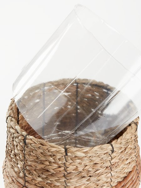 Vaso Per Piante In Vimini Matches21 – Cesto Rotondo Naturale Lavato Grigio, Ø25 Cm, Decorazione Casa