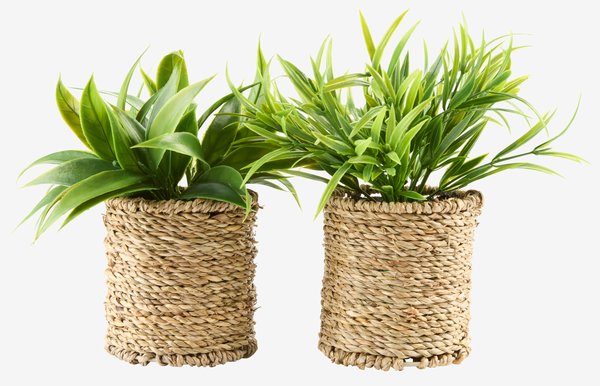 Plante artificielle BERTRAM Ø8xH18cm assorti