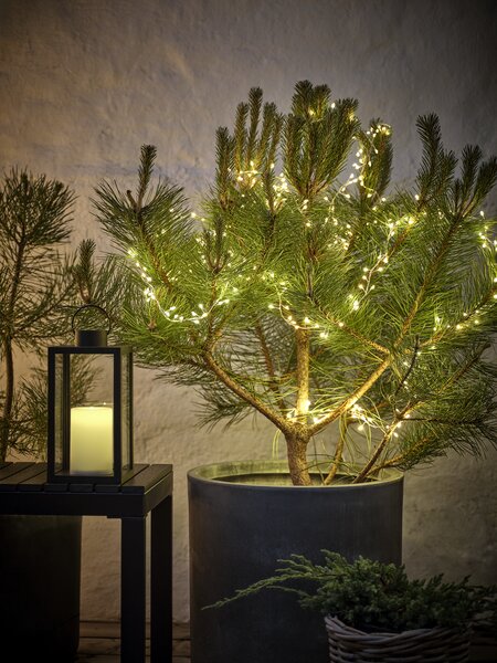 Klyngelyskæde udendørs LASURIT L10m m/300 LED og timer
