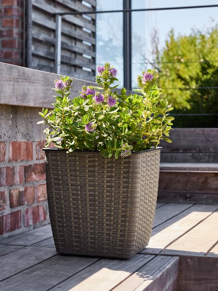 Planter basket ISLOM 31x31 nt. SALES NO