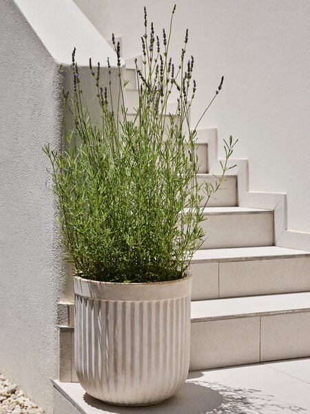 Macetero BRILLEAND Ø37xA37 natural