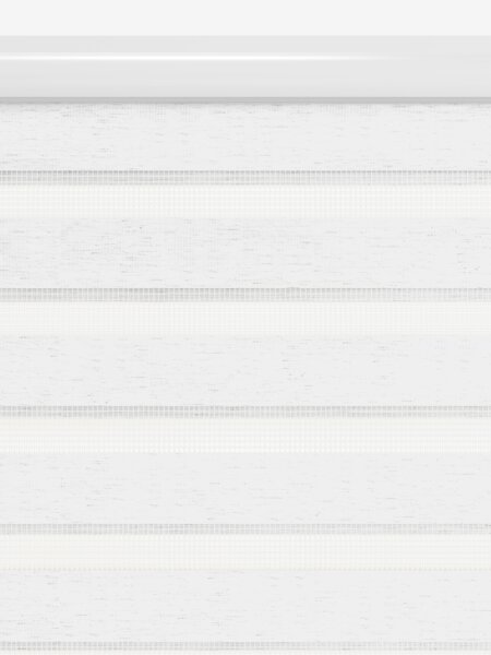 Store enrouleur Duo ALSTEN 100x250cm a/cassette blanc