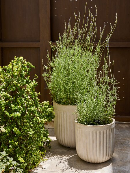 Macetero BRILLEAND Ø37xA37 natural