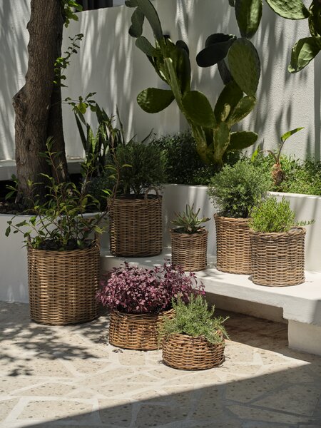 Planter basket SANSEBIE D40/33/25 kubu natural 3pcs/set