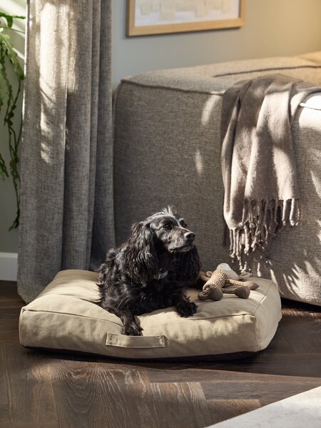 Hundeseng TURMALIN B65xL80xH18 brun