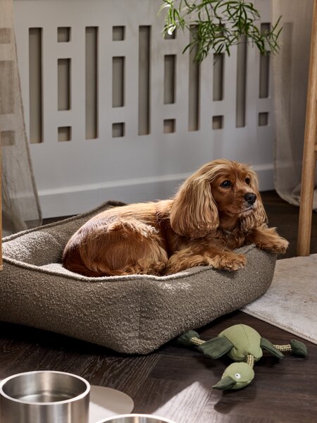 Hundeseng TURMALIN B65xL80xH18 brun