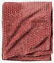 Kleur: Roze